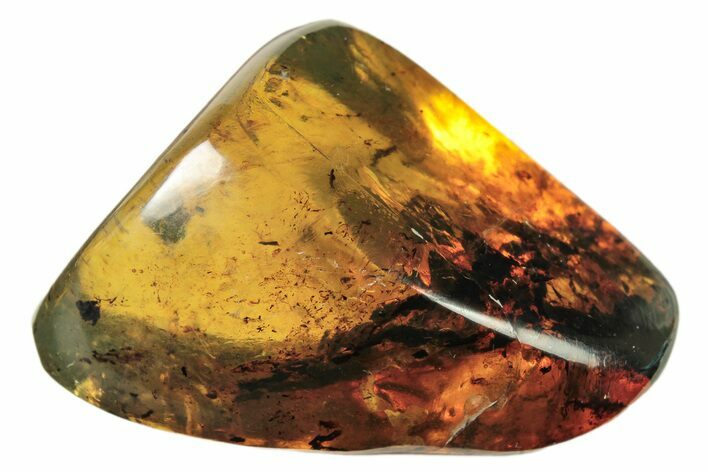 Polished Chiapas Amber ( g) - Mexico #274442